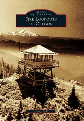 booksnthingswarehouse-11309795