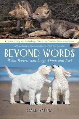 booksnthingswarehouse-11561566