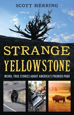 booksnthingswarehouse-11708181