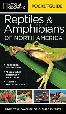 booksnthingswarehouse-12078466