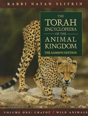 booksnthingswarehouse-12129197