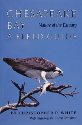 booksnthingswarehouse-12279985