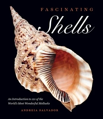 booksnthingswarehouse-21436467