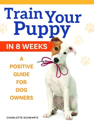 booksnthingswarehouse-21562198