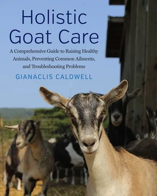 booksnthingswarehouse-21963893