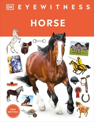 booksnthingswarehouse-22163568
