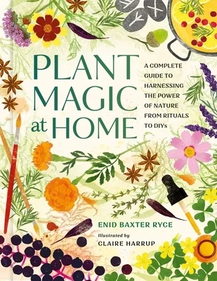 booksnthingswarehouse-31319948