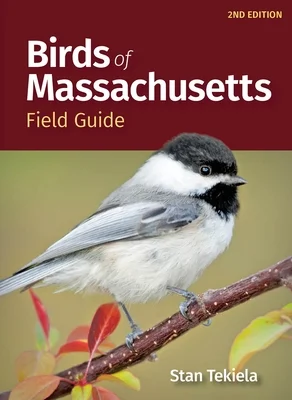 booksnthingswarehouse-31436874