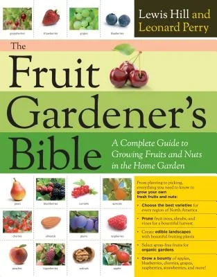 booksnthingswarehouse-31791967