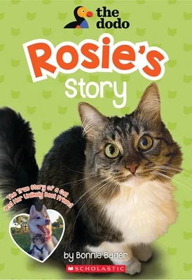 booksnthingswarehouse-32021387