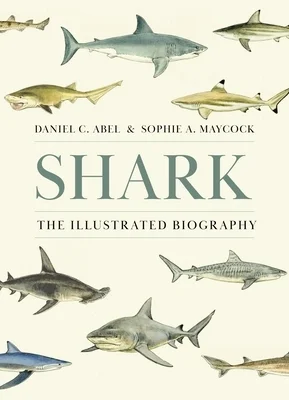 booksnthingswarehouse-41345633