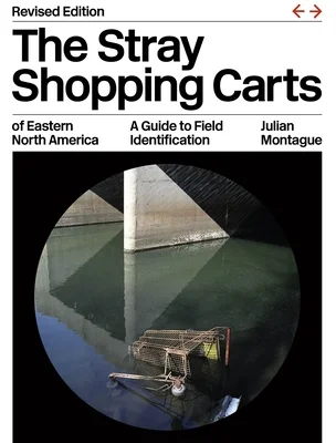 booksnthingswarehouse-41384393