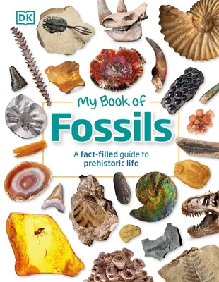 booksnthingswarehouse-41384967