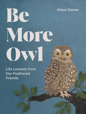 booksnthingswarehouse-41466804