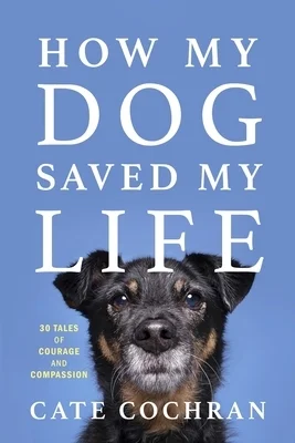booksnthingswarehouse-41467263