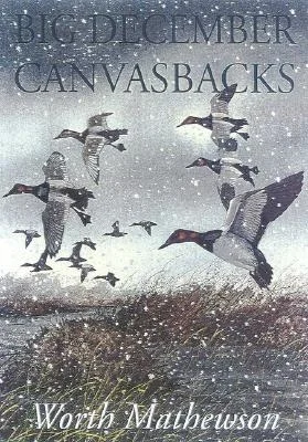 booksnthingswarehouse-41715880
