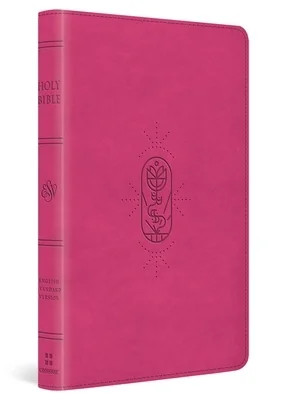booksnthingswarehouse-41893727