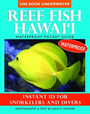 booksnthingswarehouse-41989372