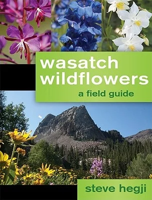 booksnthingswarehouse-42076576