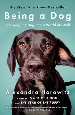booksnthingswarehouse1042092