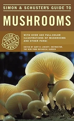booksnthingswarehouse1754749