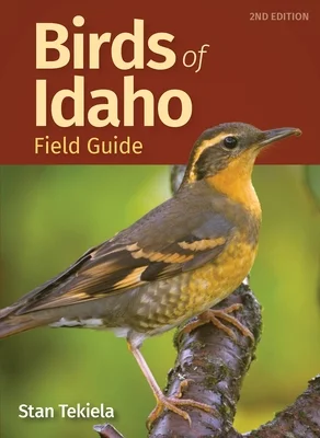 booksnthingswarehouse871919