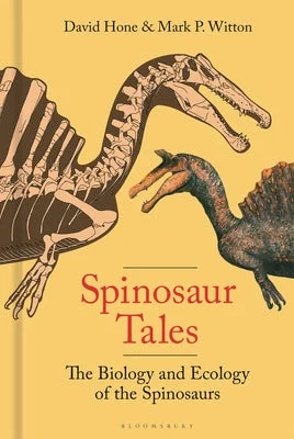 flowerburst-21266445