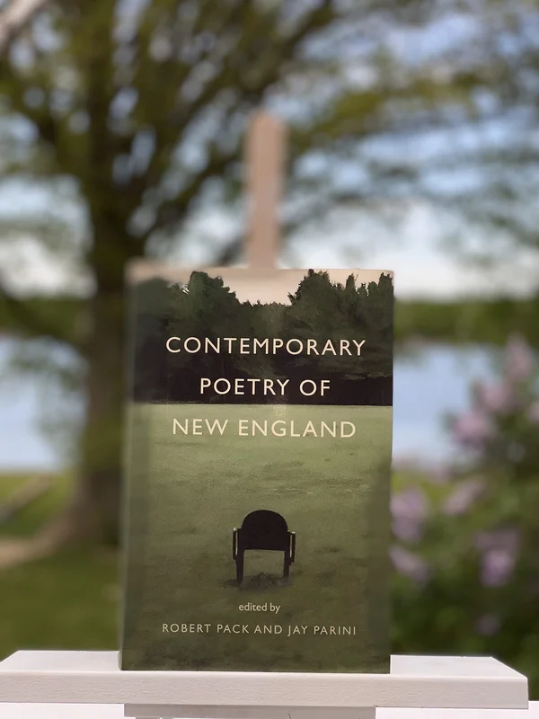 roundaboutbookstore-11435876