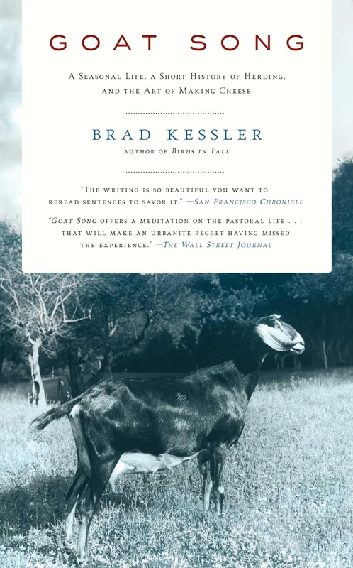 roundaboutbookstore-11499131
