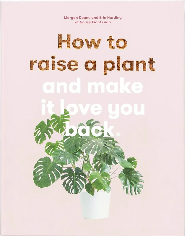 roundaboutbookstore-11635935