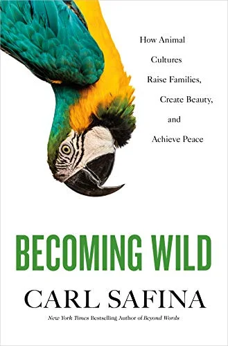 roundaboutbookstore-11659629