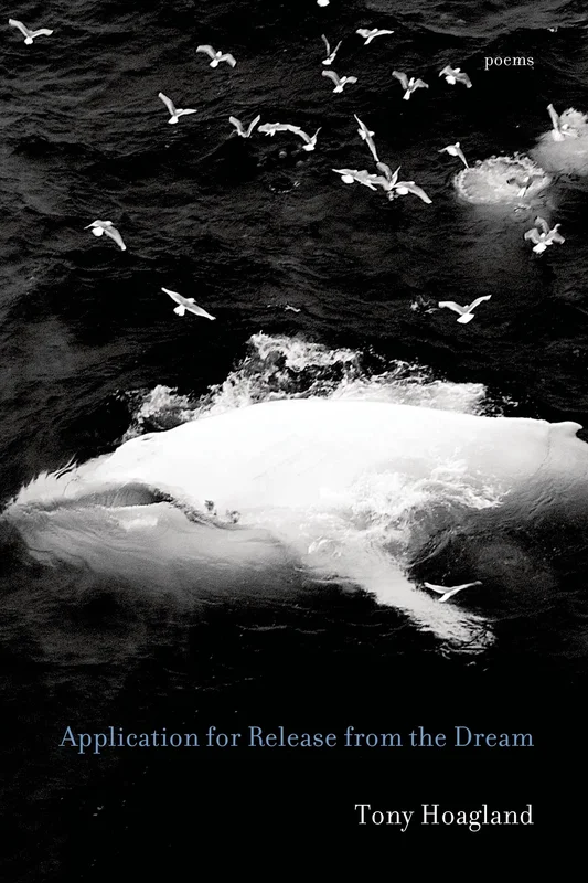 roundaboutbookstore-11669532