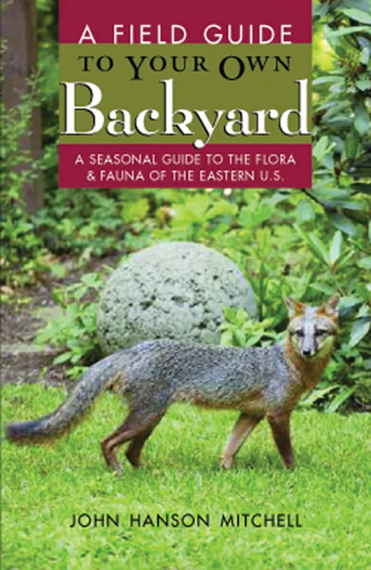 roundaboutbookstore-11670693