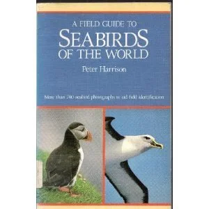 roundaboutbookstore-11670748