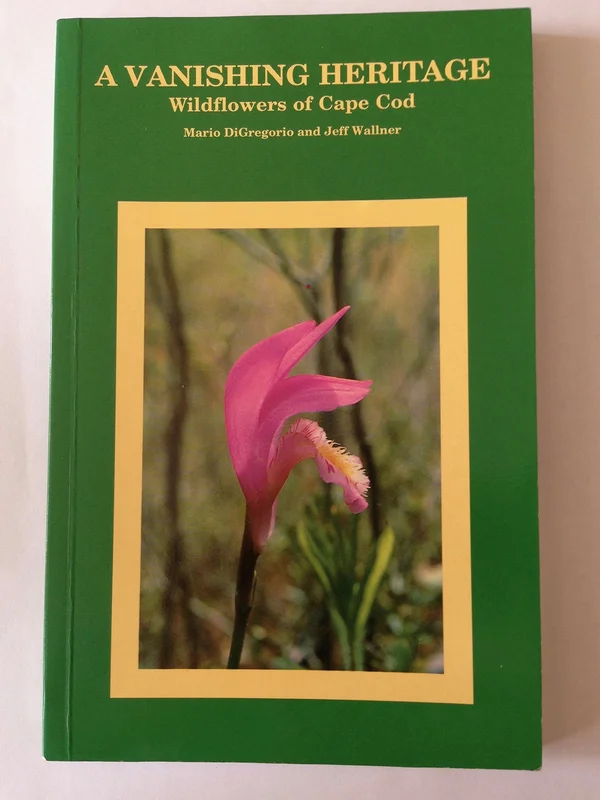 roundaboutbookstore-11672856