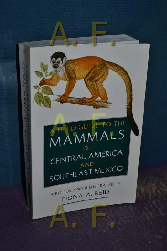 roundaboutbookstore-11779501