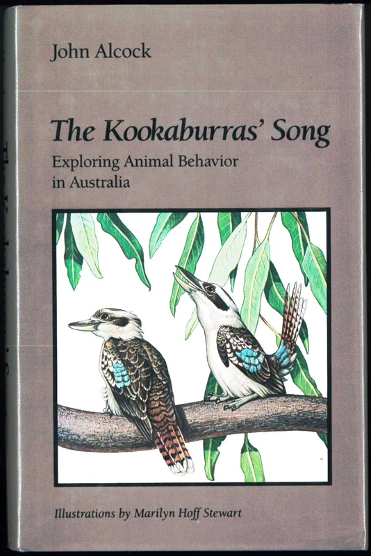 roundaboutbookstore-11780981