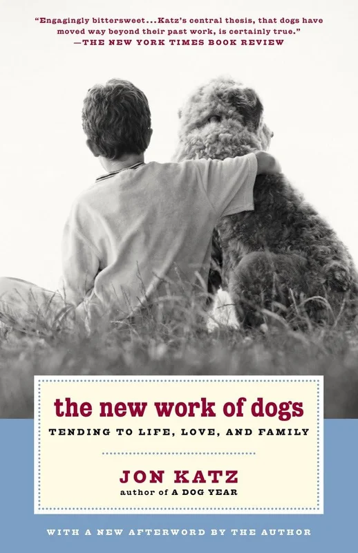 roundaboutbookstore-11818419