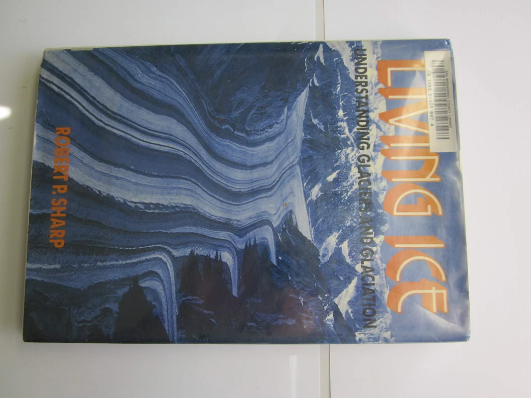roundaboutbookstore-11824842