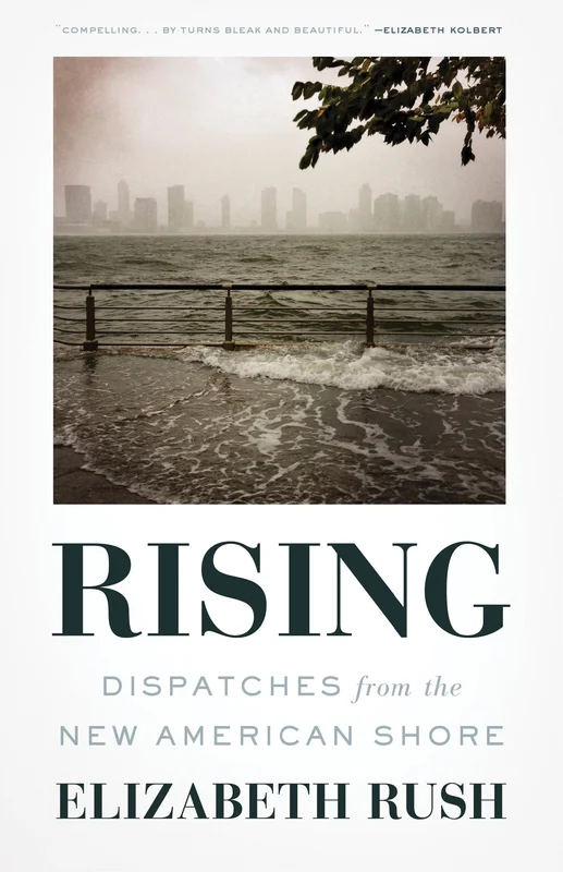 roundaboutbookstore-11857194