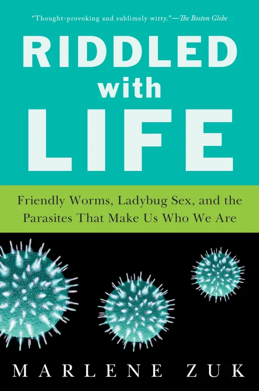 roundaboutbookstore-11869834