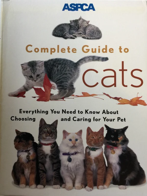 roundaboutbookstore-11889172