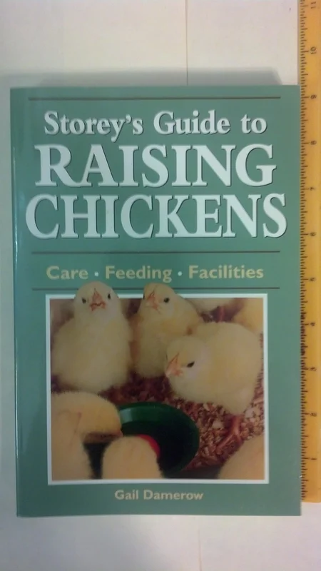 roundaboutbookstore-11893771