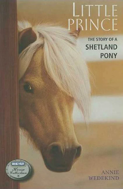 roundaboutbookstore1011979