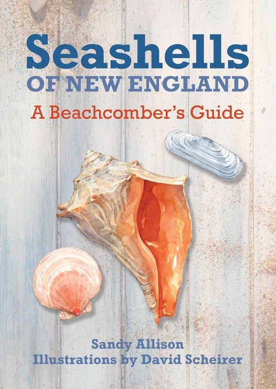 roundaboutbookstore1013517