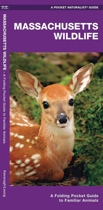 roundaboutbookstore1014258