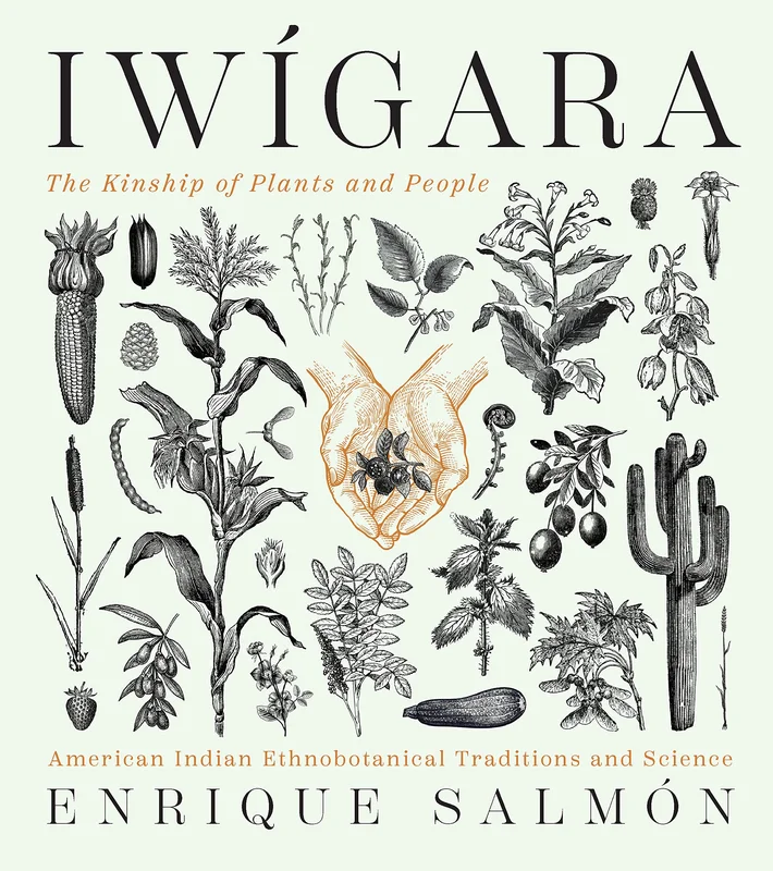 roundaboutbookstore1048732