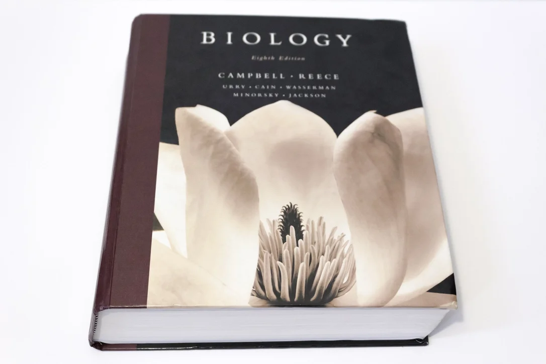 roundaboutbookstore1128582