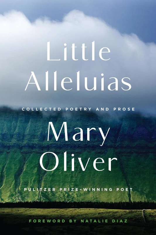 roundaboutbookstore1173371