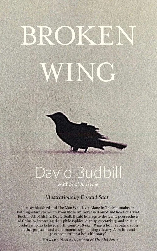roundaboutbookstore1239701